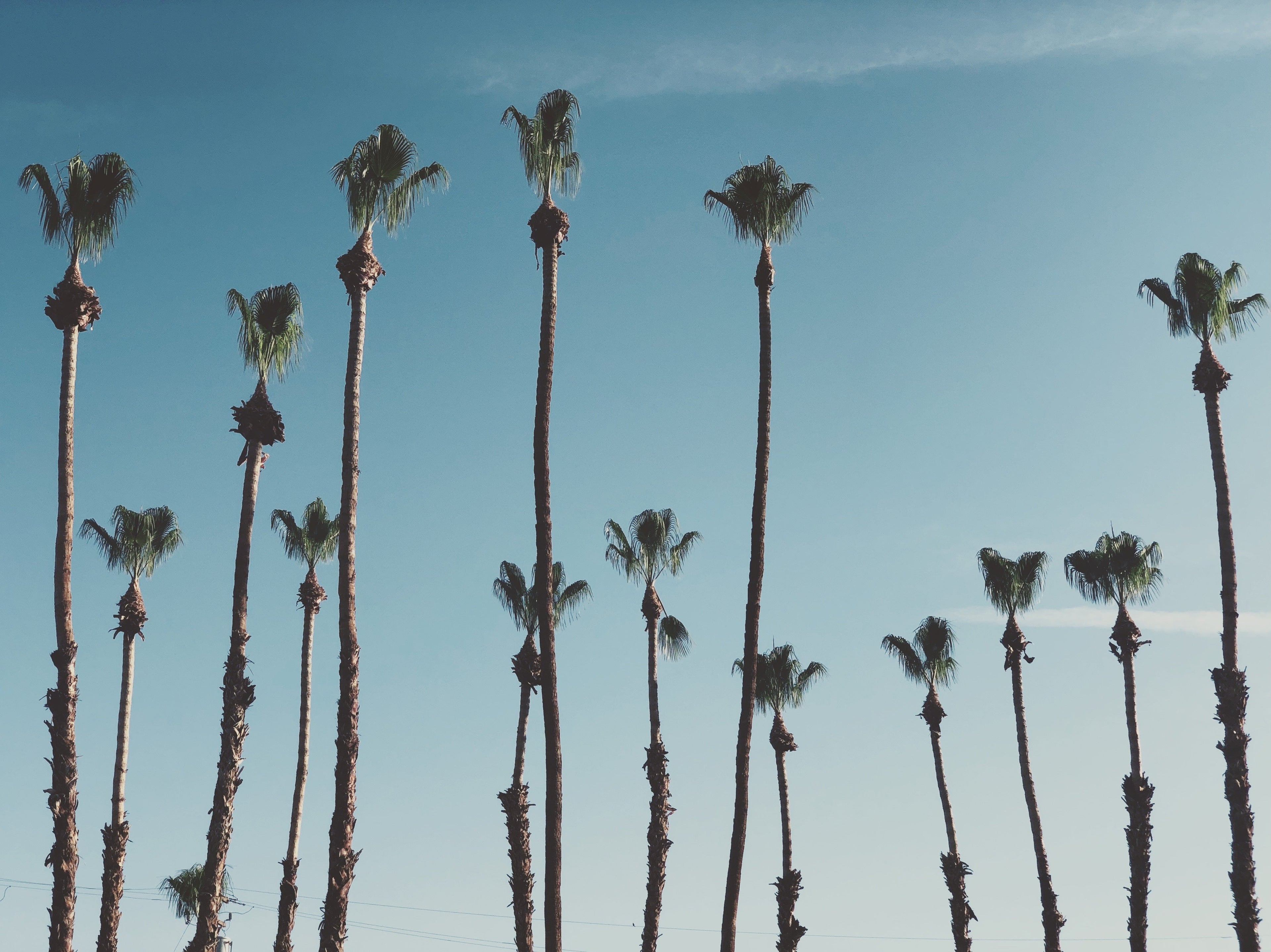 Featured Destination | Los Angeles
